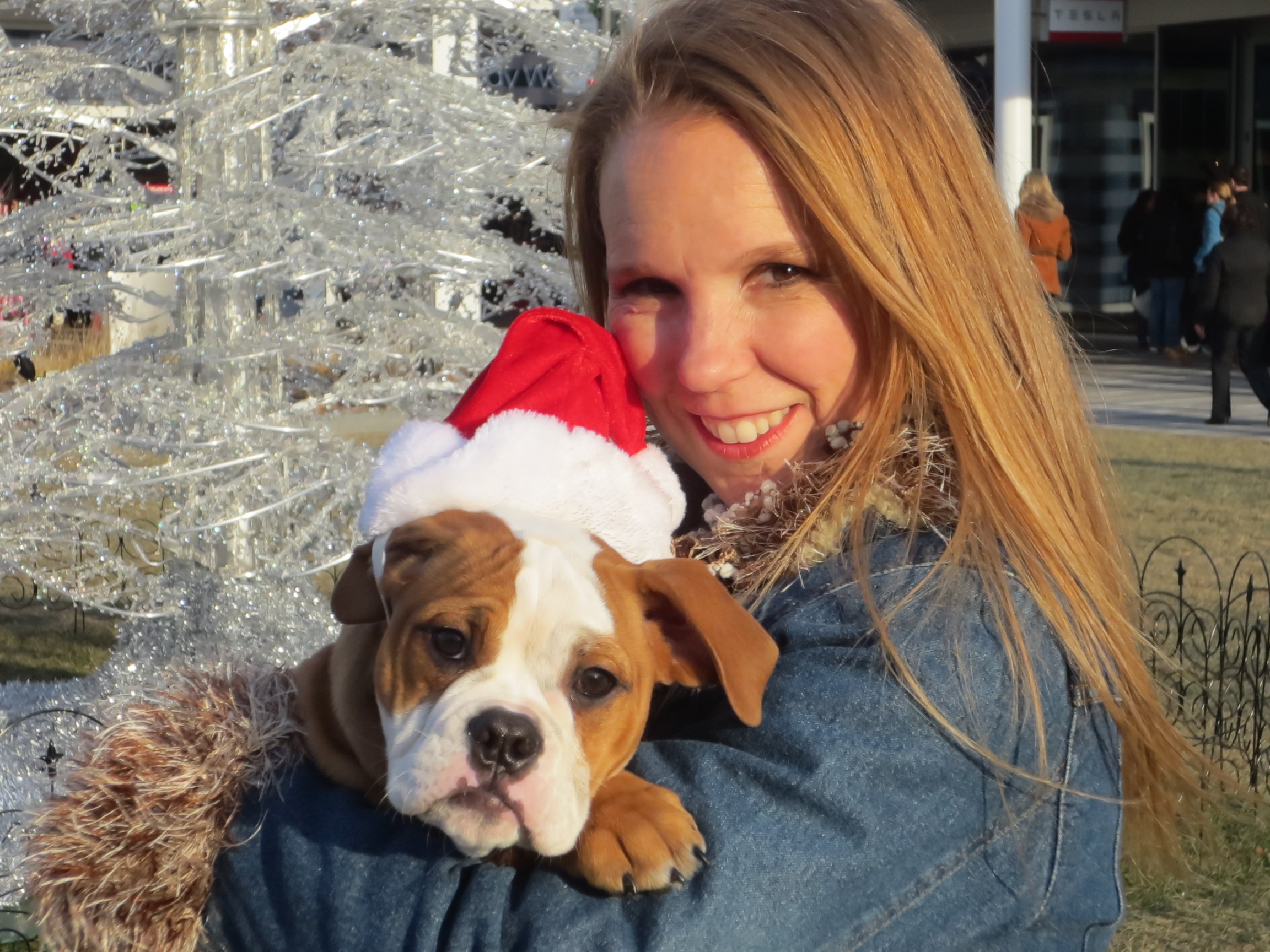 Choosing the right puppy