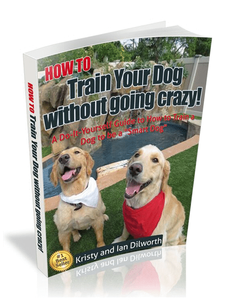 HOW TO Train Your Dog without going crazy!: A Do-it-Yourself Guide to How to Train a Dog to be a "Smart Dog" 