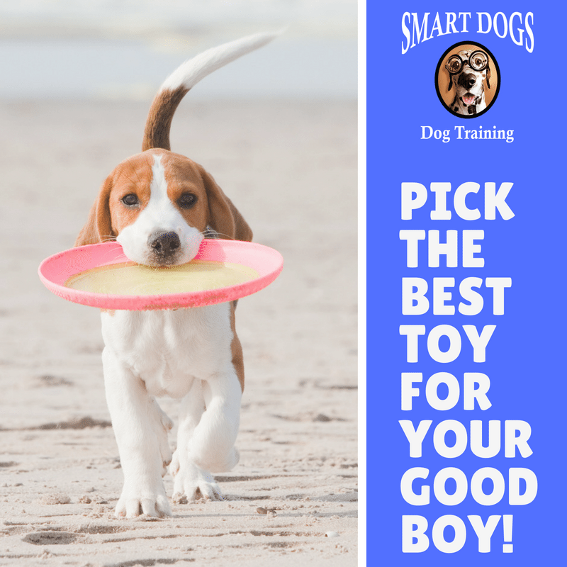 Pick the best toys for your dogs